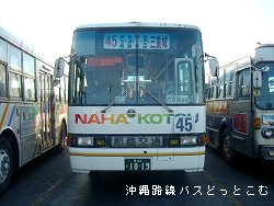 N084